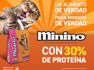 Minino