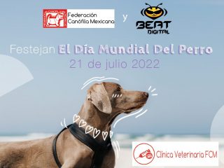 Federación Canofila Mexicana